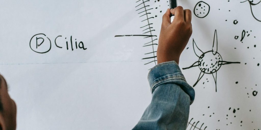The Science of Learning How to Use Declarative Memory to Study Smarter