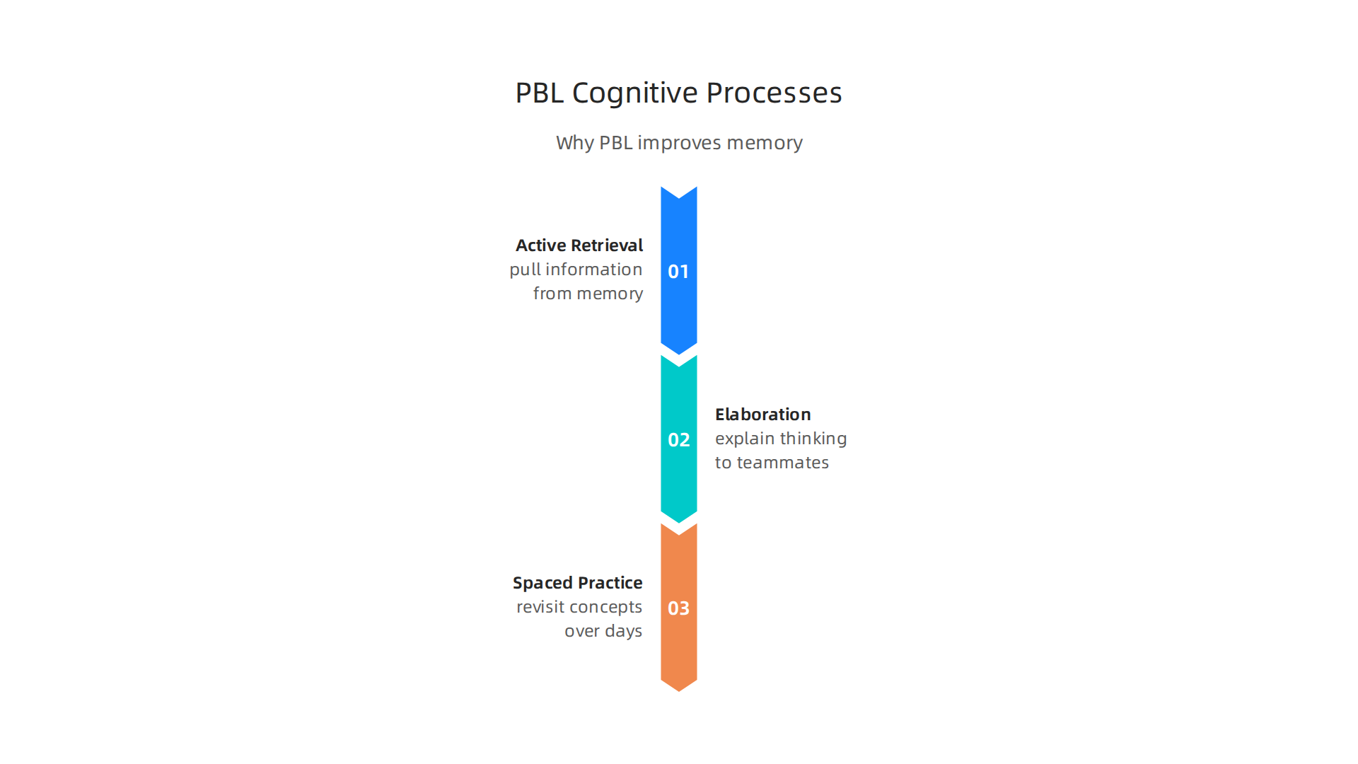 Project-Based Learning leverages key cognitive processes to enhance memory and understanding.