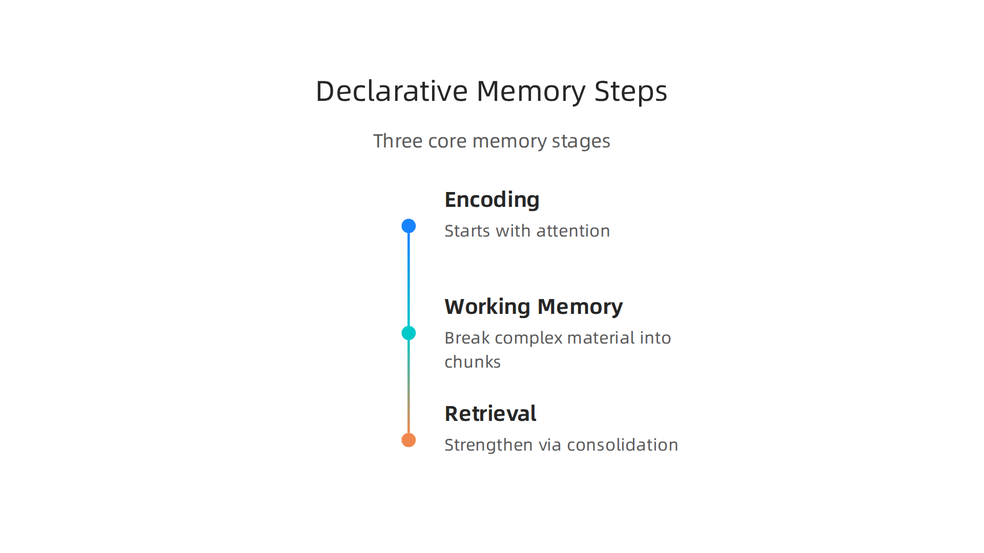 Understanding the three stages of declarative memory helps educators design lessons that stick, from initial attention to long-term consolidation.