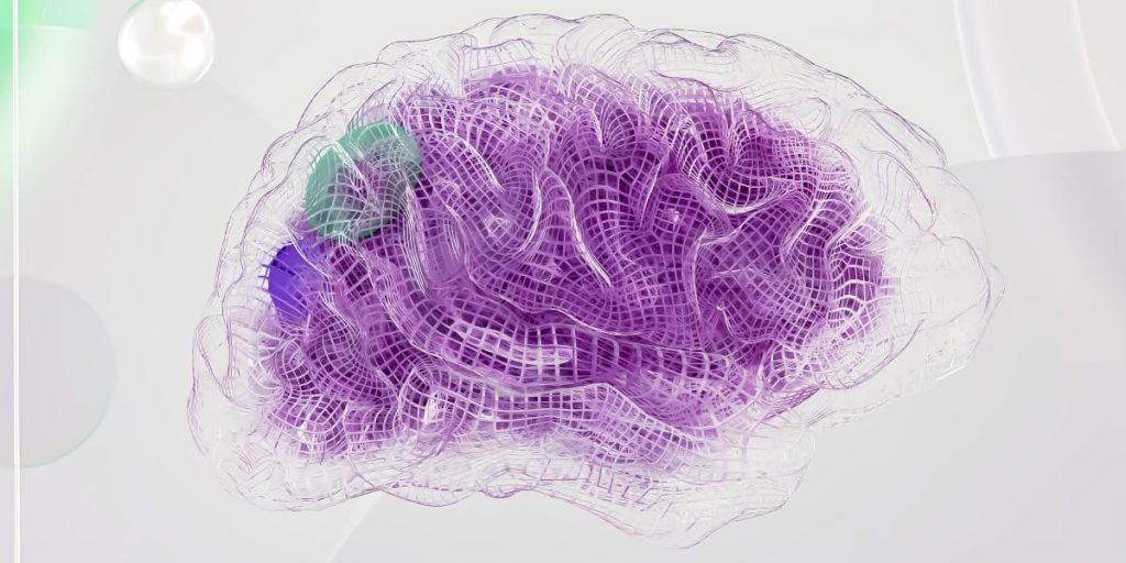 BrainVoyager Education Builds Real Neuroimaging Skills for Neuroscience Students