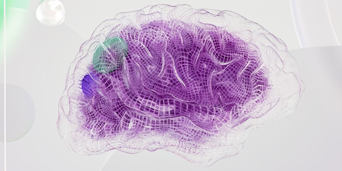 BrainVoyager Education Builds Real Neuroimaging Skills for Neuroscience Students