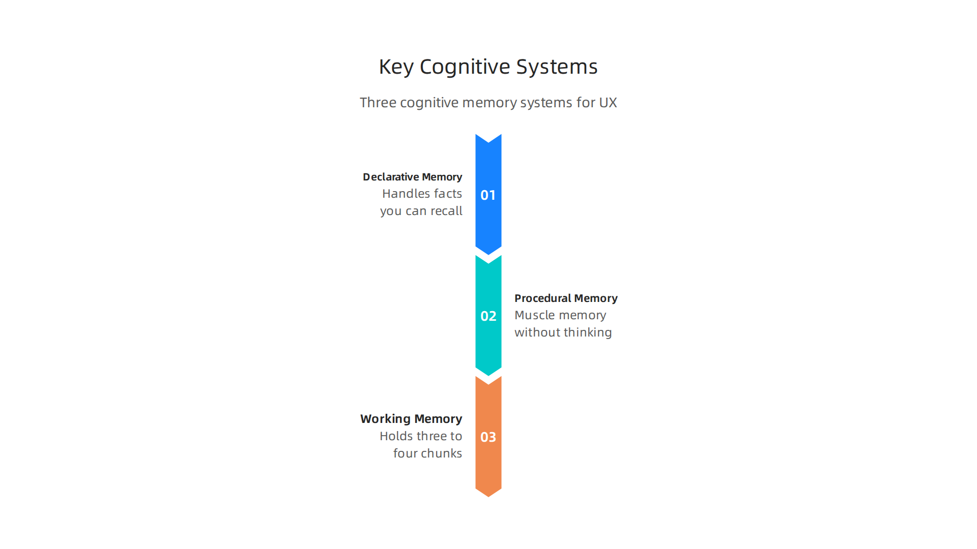 Three fundamental cognitive systems — Declarative, Procedural, and Working Memory — that designers must understand.