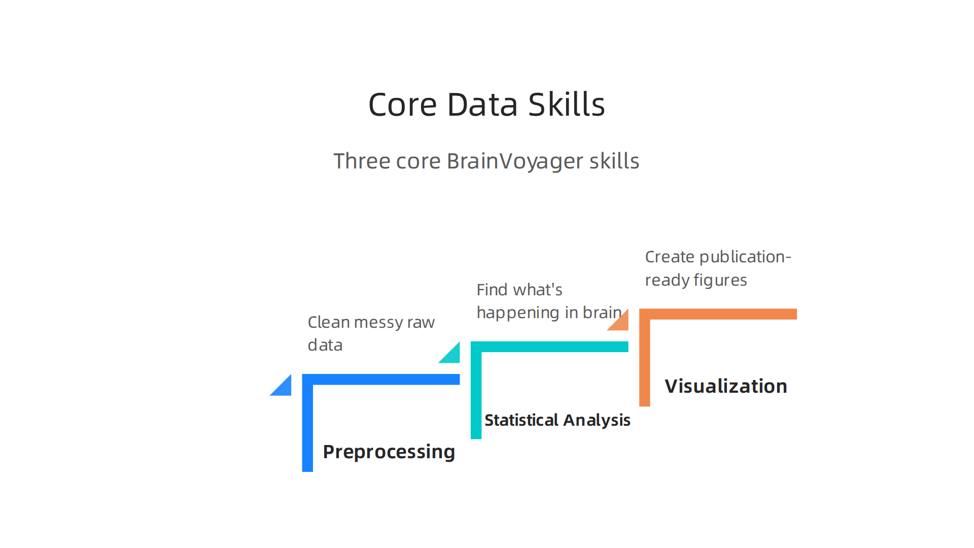 An infographic outlining the core data skills students acquire using BrainVoyager, from preprocessing to visualization.