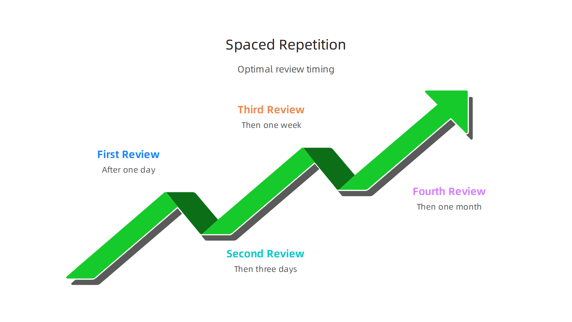 An infographic showing optimal review intervals for spaced repetition, designed to maximize long-term retention.
