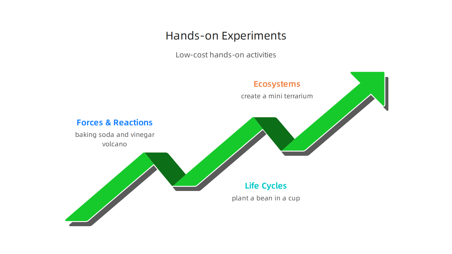 Low-cost, hands-on science experiments to make core concepts memorable for homeschoolers.