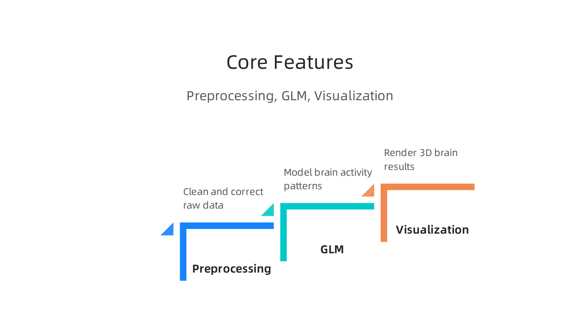 A visual breakdown of BrainVoyager's core features: preprocessing, General Linear Model (GLM), and visualization, essential for understanding brain images.