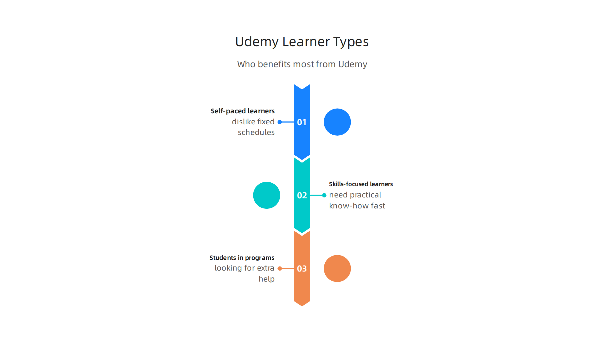 Understand which learner profiles gain the most value from the Udemy platform and its flexible course offerings.