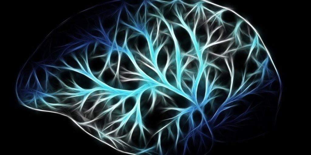 Semantic Memory What It Is and How Your Brain Stores General Knowledge