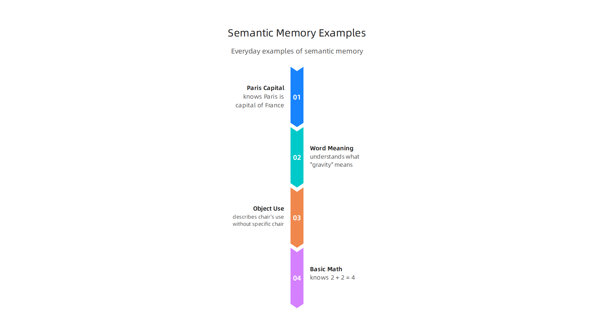 Everyday examples illustrating how semantic memory functions in our daily lives.