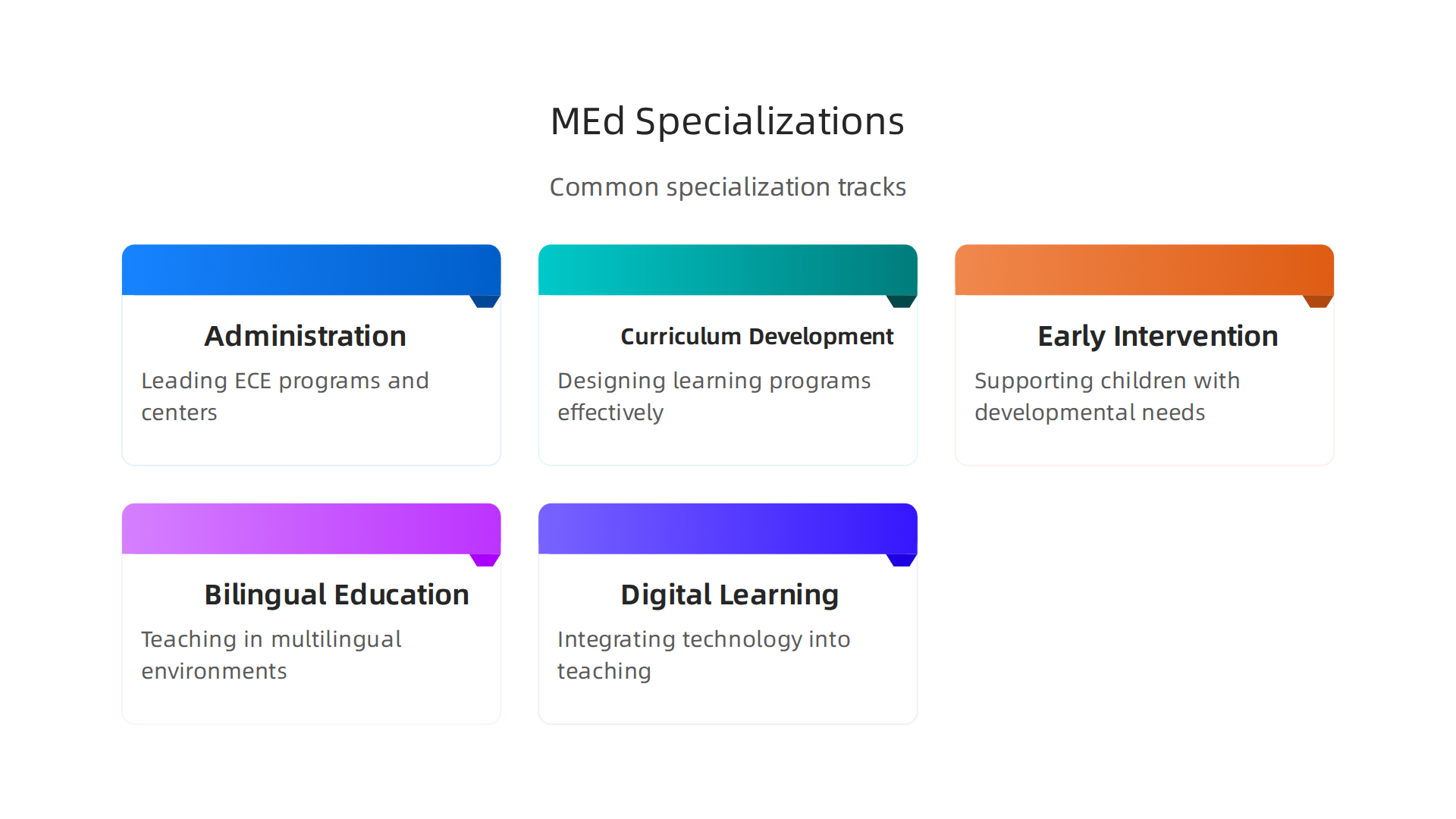 Common specialization tracks available within a Master's Degree in Early Childhood Education.