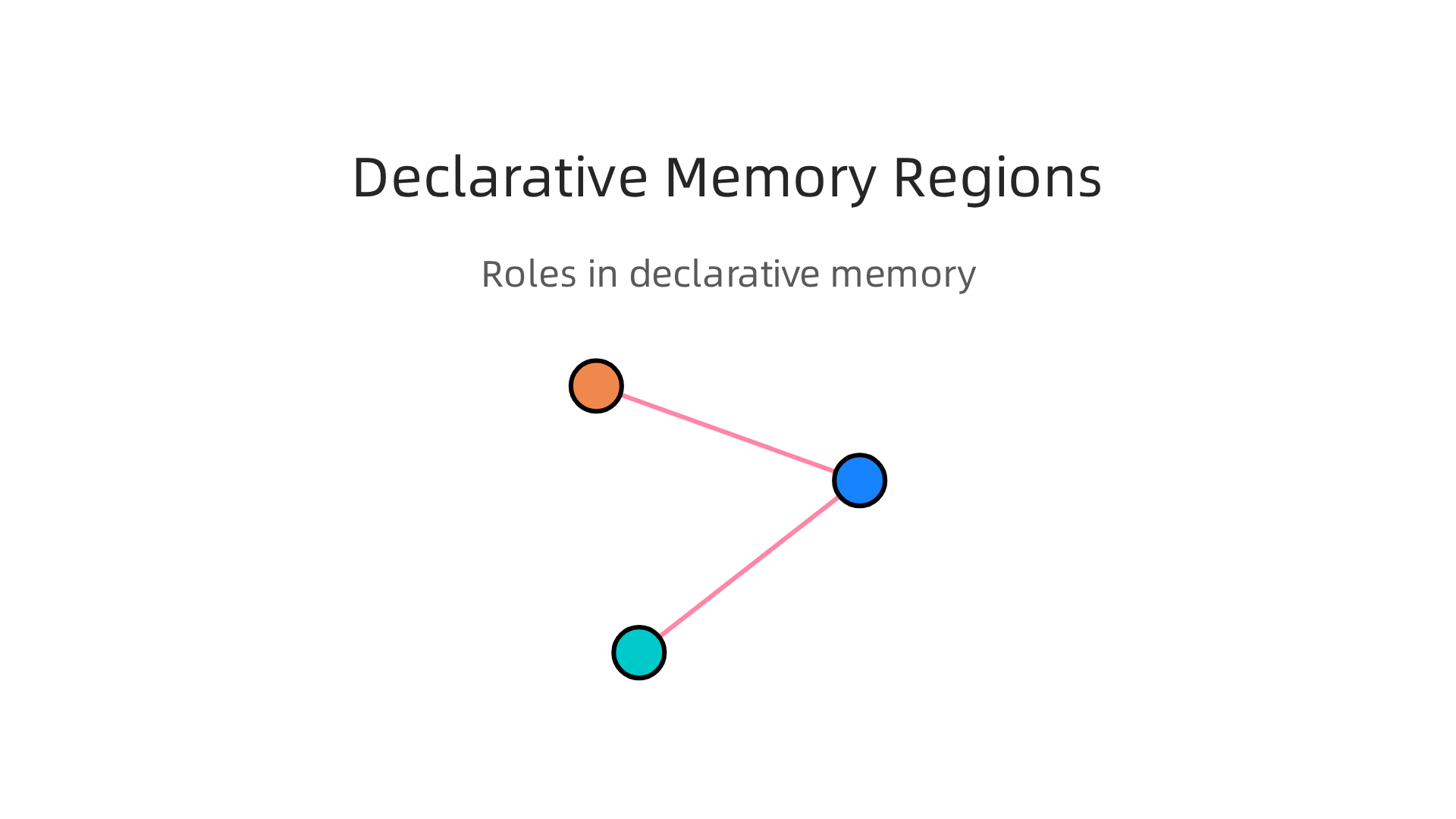 Declarative memory, responsible for recalling facts and events, involves the coordinated effort of three primary brain regions.