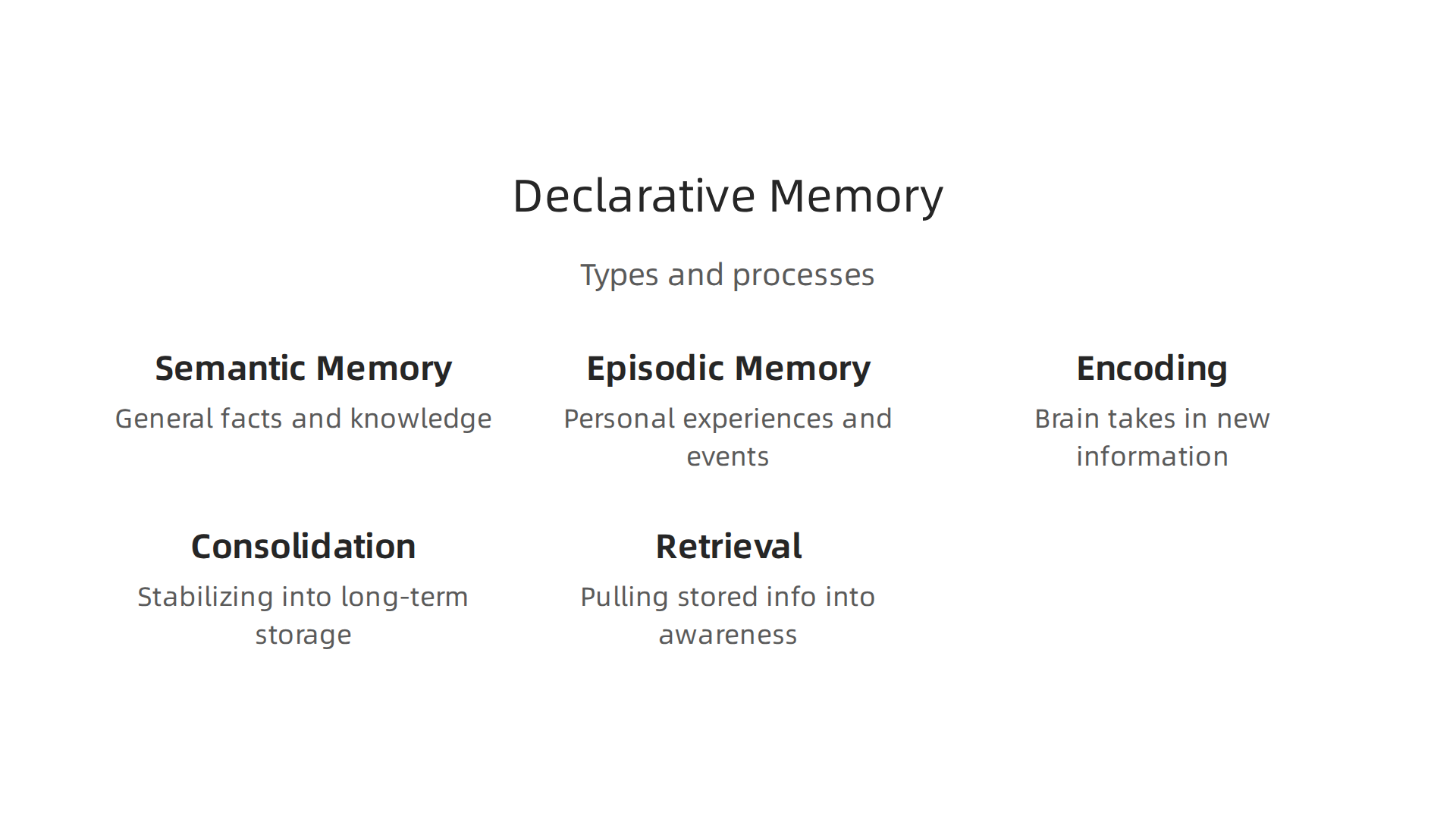 Visualizing the two main types of declarative memory and the three crucial processes involved in memory formation and recall.