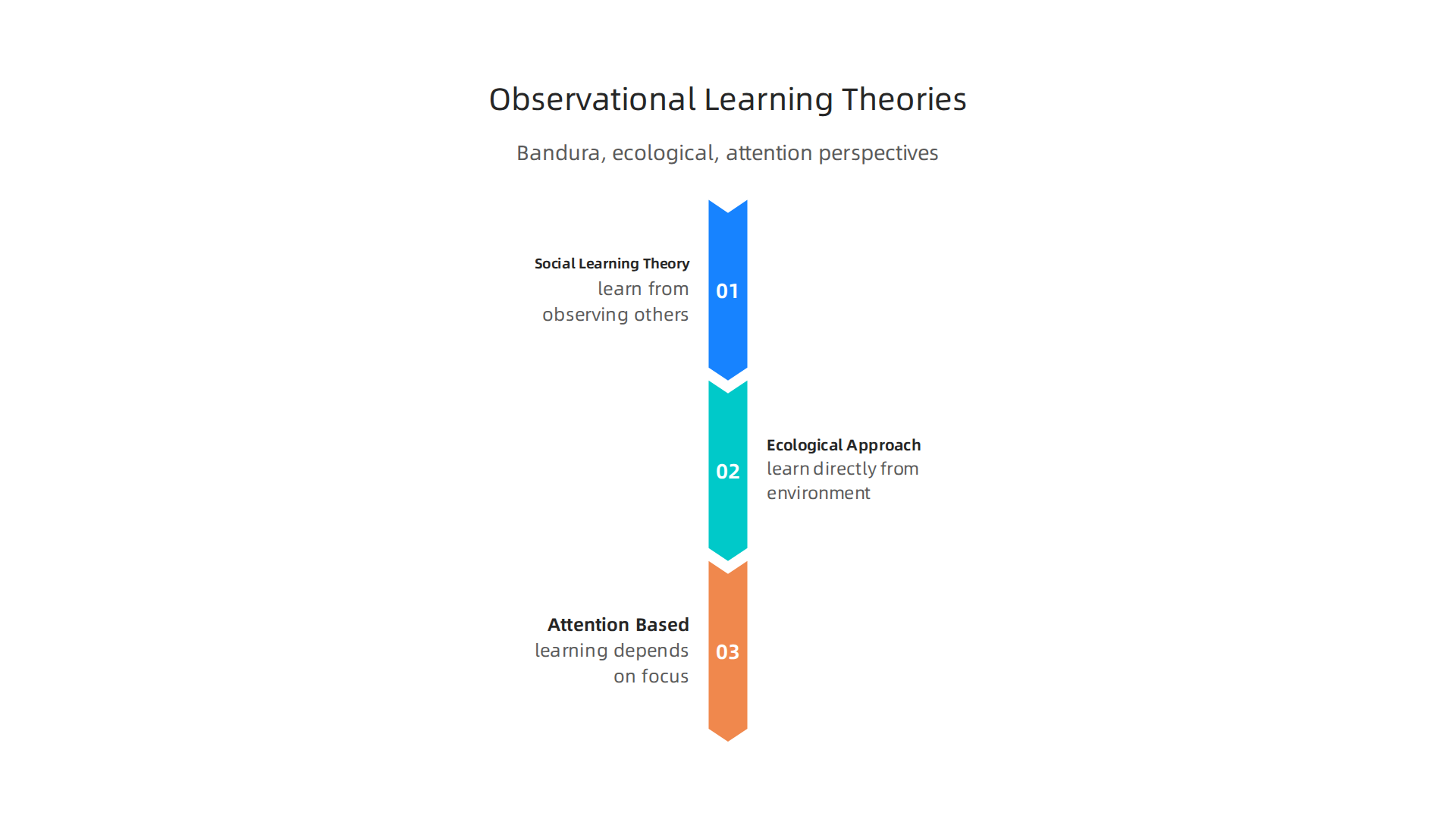 Three major theories provide different perspectives on how humans learn through observation.